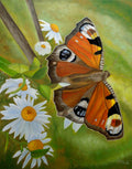 Peacock Butterfly Poster och Canvastavla