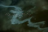 river in the lake Poster och Canvastavla