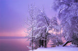 Stillness Poster och Canvastavla