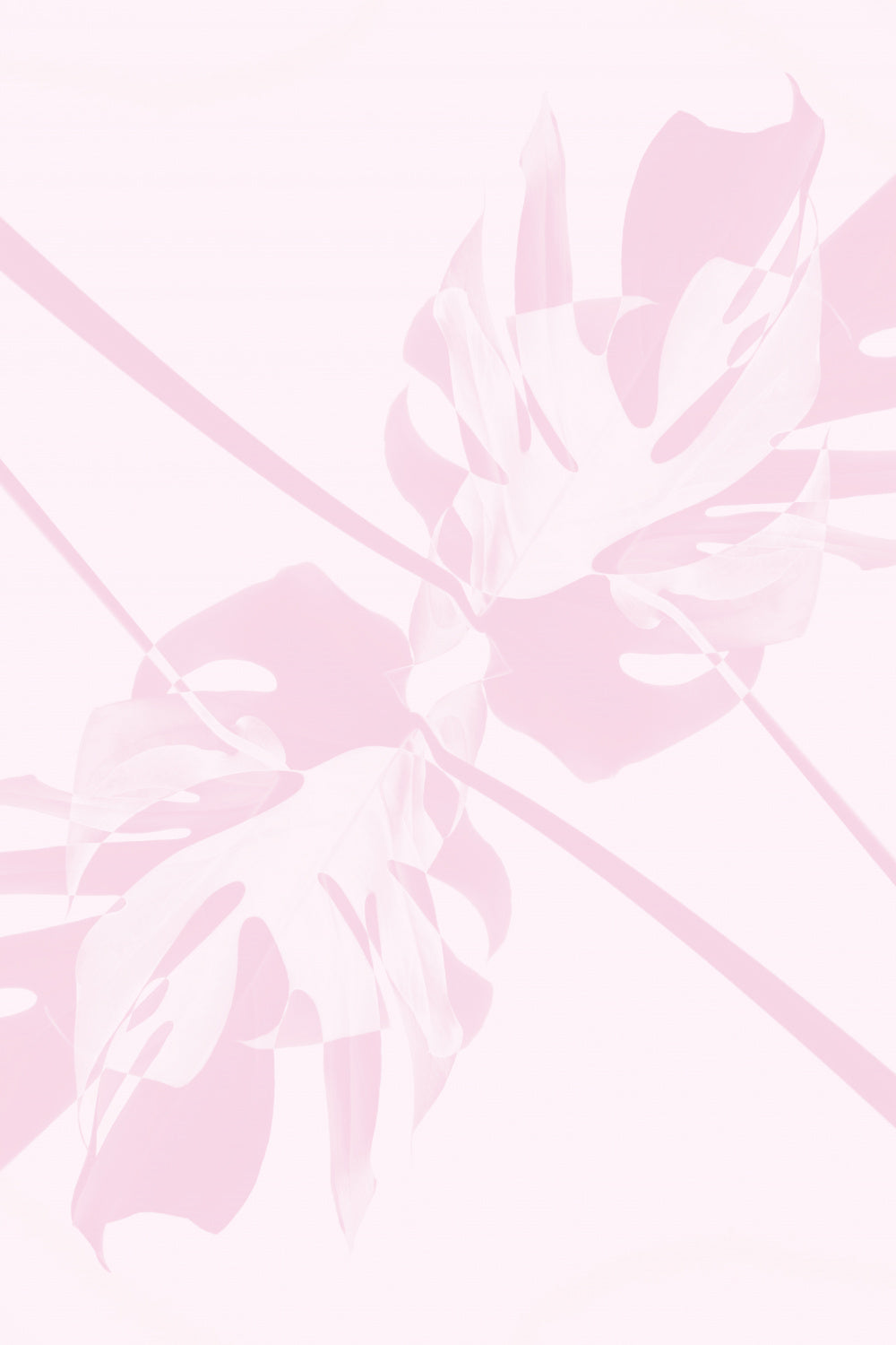 Monstera Kaleidoscope 09 Poster och Canvastavla