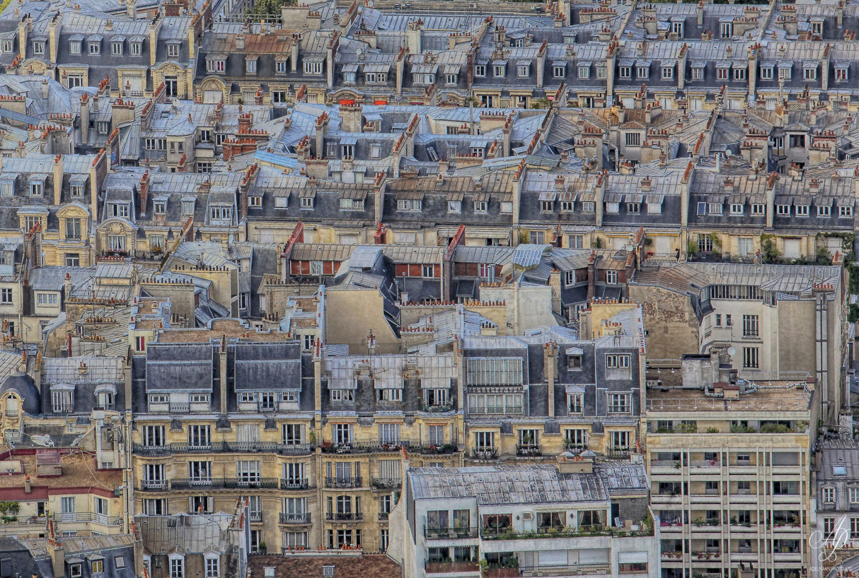 Parisian roofs Poster och Canvastavla