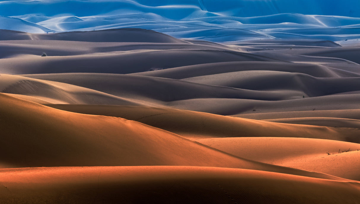 Dream desert Poster och Canvastavla