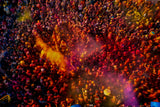 Holi Poster och Canvastavla