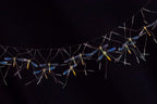Hanging Cranefly Poster och Canvastavla