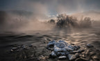 Ice cold winter morning... Poster och Canvastavla