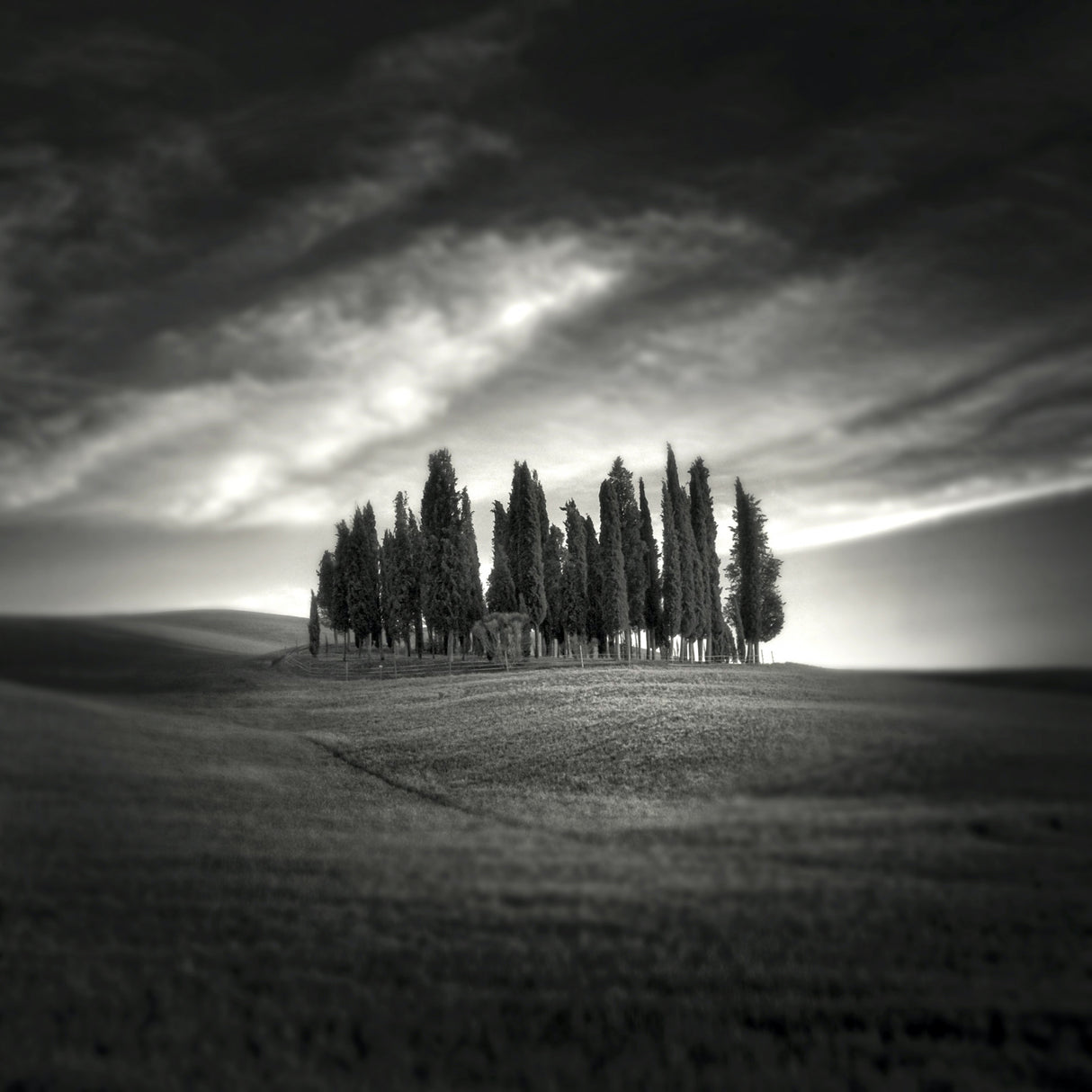 Tuscany Poster och Canvastavla