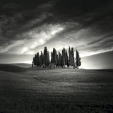 Tuscany Poster och Canvastavla