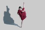 red and shadow Poster och Canvastavla