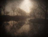 But soft, what light ........... Poster och Canvastavla