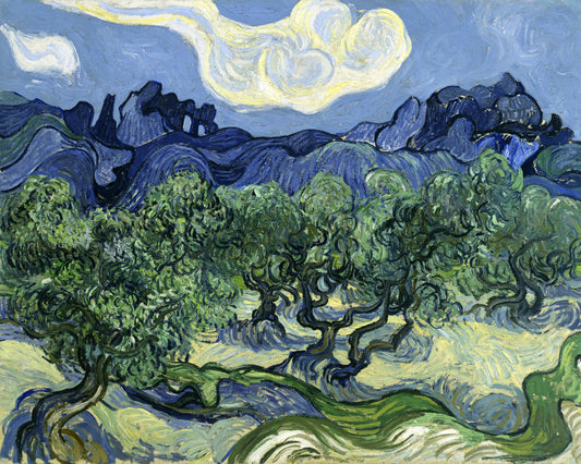 Vincent Van Gogh's Olive Trees With the Alpilles In the Background (1889) Poster och Canvastavla
