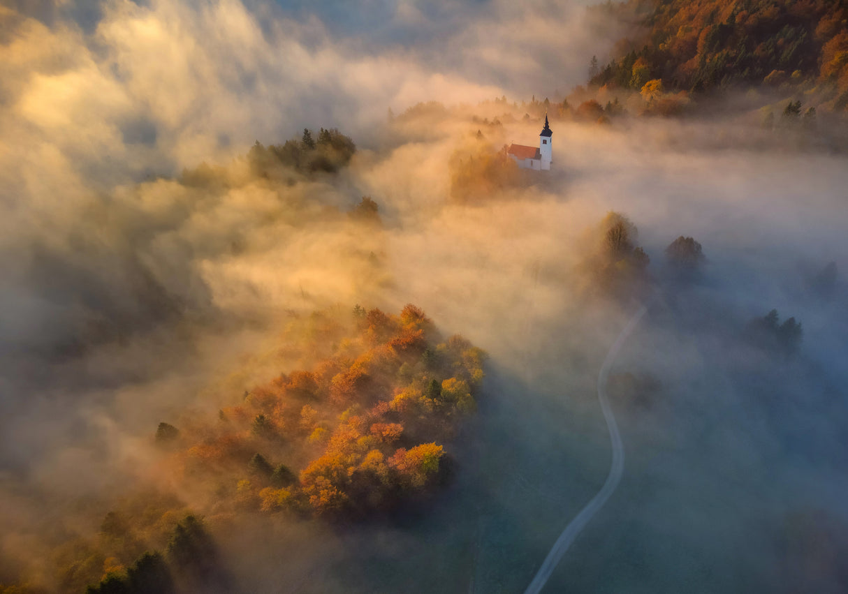 Autumn mists Poster och Canvastavla