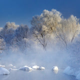 Morning fog and rime in Kuerbin Poster och Canvastavla