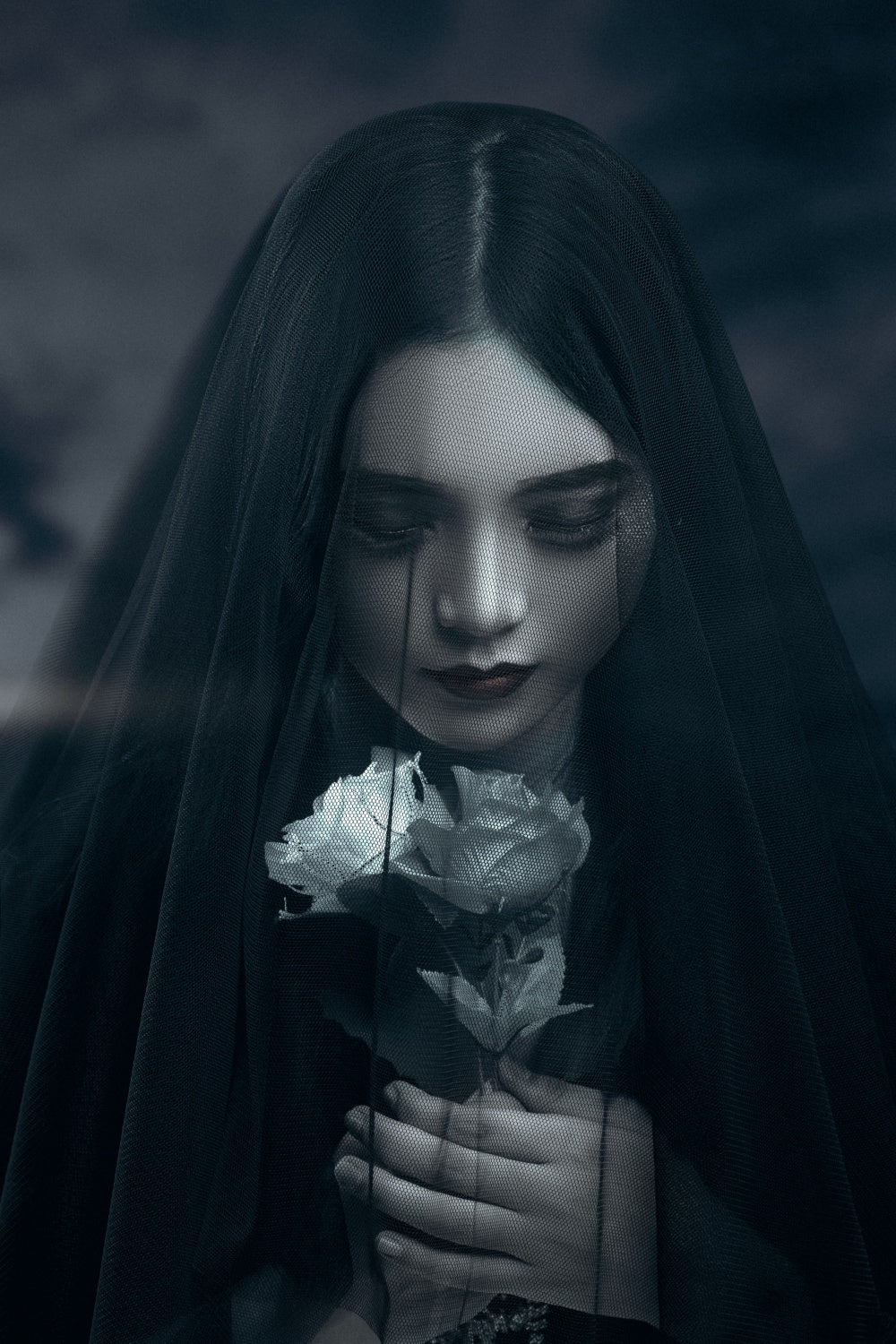 lady black rose Poster och Canvastavla