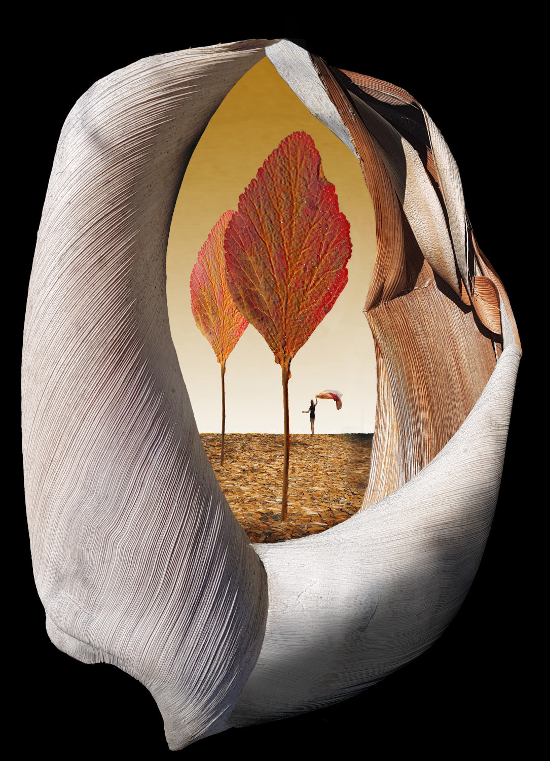 Autumn Trees Poster och Canvastavla