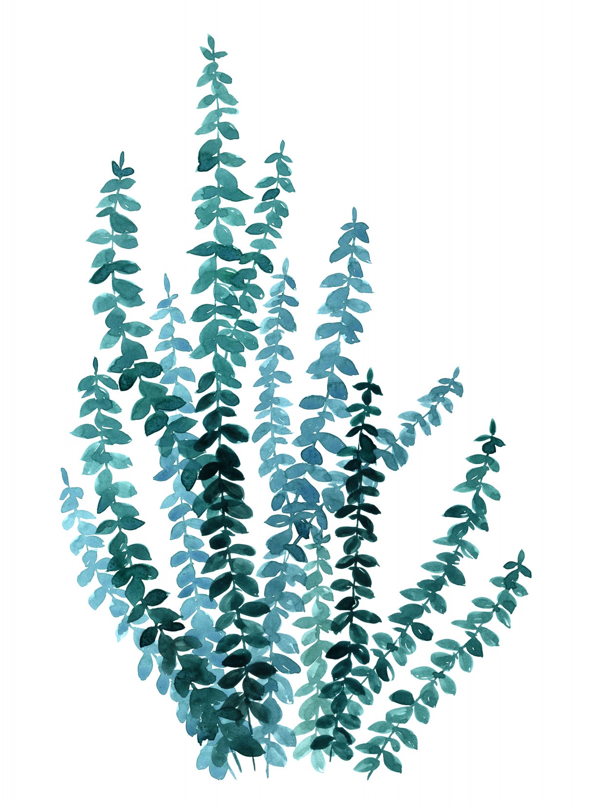 Watercolor eucalyptus branch in teal Poster och Canvastavla