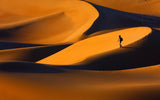 The golden light of sunset, and its form Poster och Canvastavla