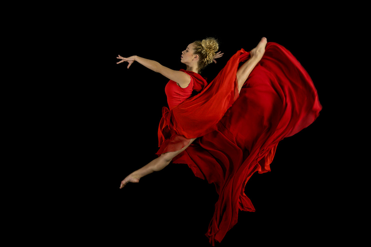 flying dancer Poster och Canvastavla