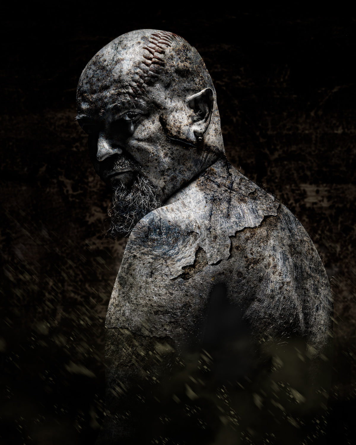 When Monsters Cry Poster och Canvastavla