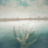 Sinking Life Poster och Canvastavla