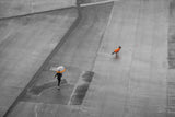 Orange on the diagonal Poster och Canvastavla