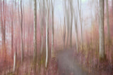 Soft autumn Poster och Canvastavla