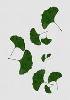 Ginkgo Leaf I Poster och Canvastavla