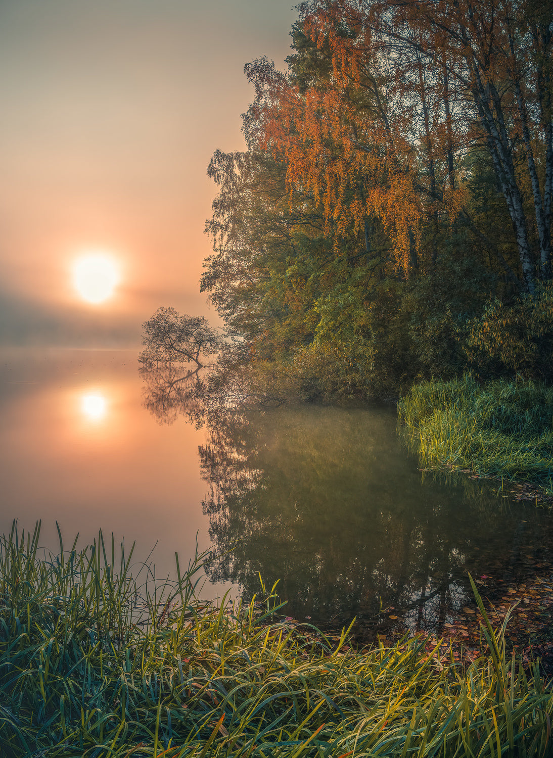 Foggy fall lake Poster och Canvastavla