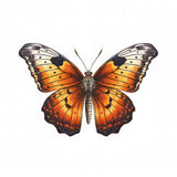 Butterfly 40 Poster och Canvastavla