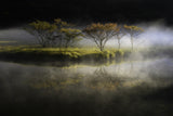 floating in the fog Poster och Canvastavla