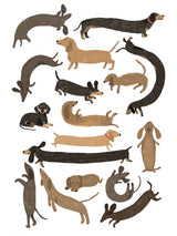 Dachshund Print Poster och Canvastavla