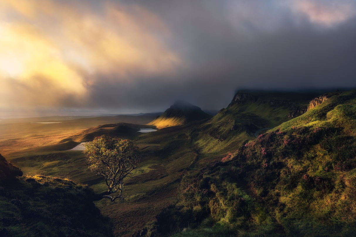 The Quiraing sunrise Poster och Canvastavla