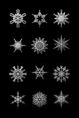 Twelve geometric snowflakes in black Poster och Canvastavla