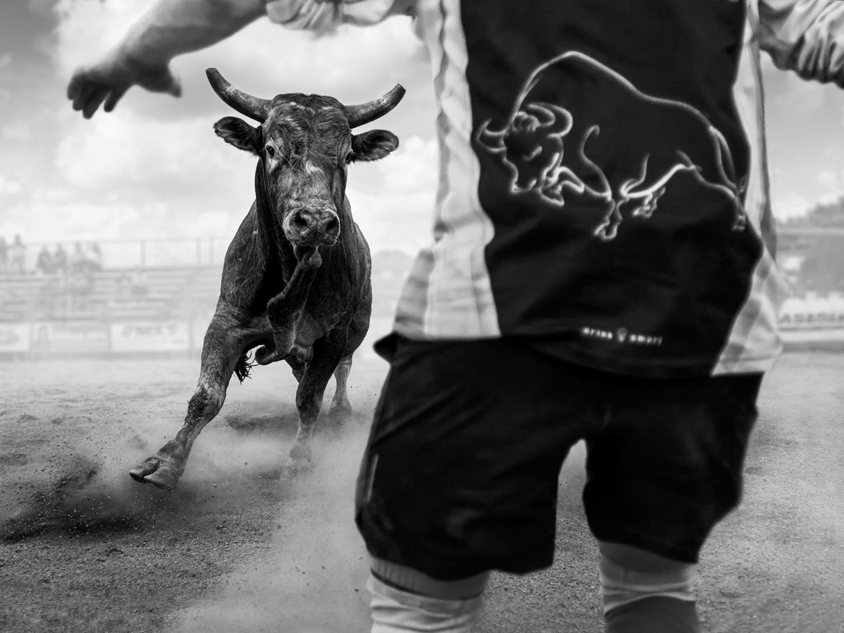 The Raging Bull Poster och Canvastavla