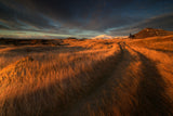 ... the long winding road Poster och Canvastavla
