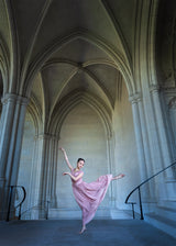 Pink Elegance Poster och Canvastavla