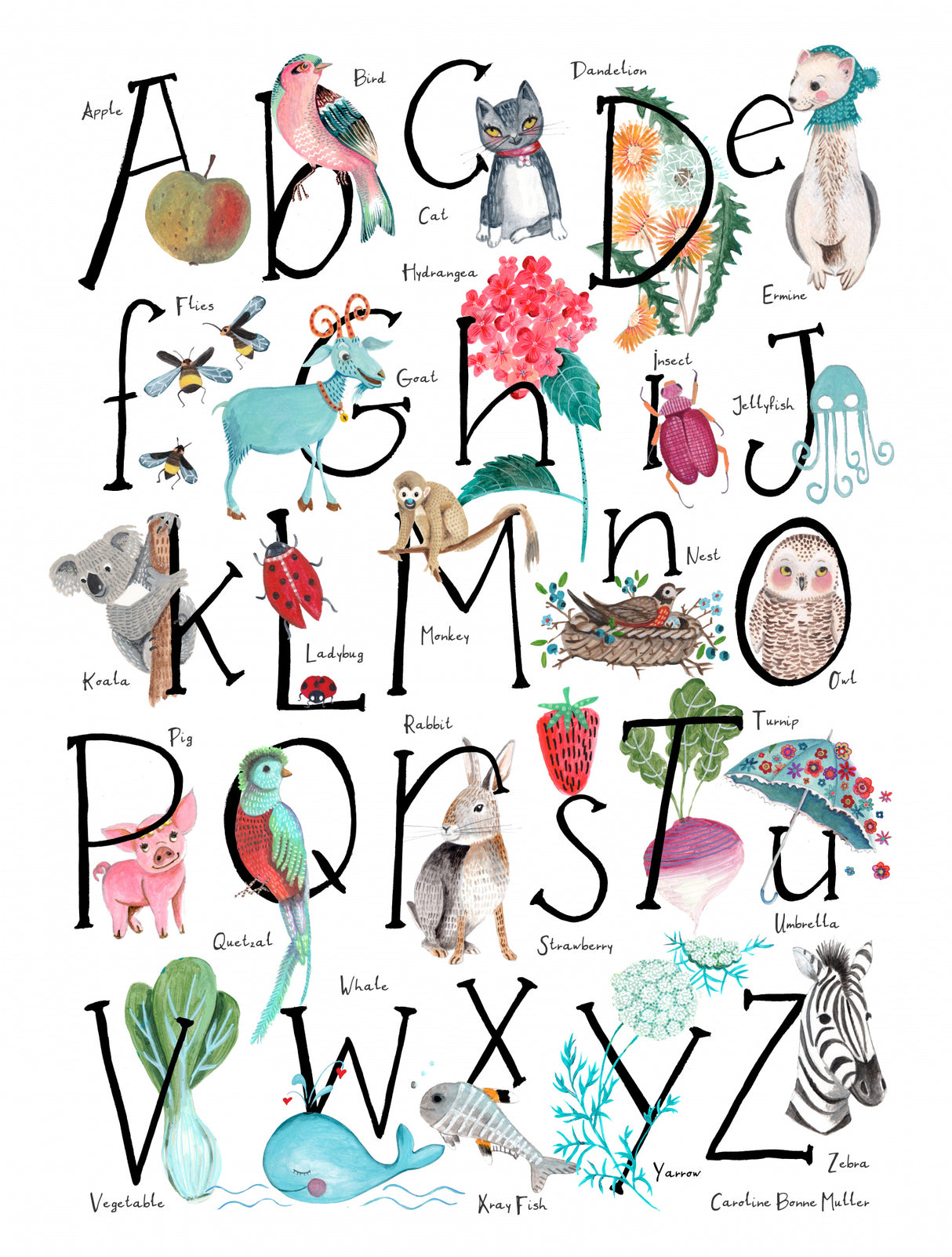 ABC illustration Poster och Canvastavla