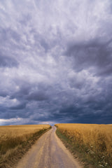 Towards the storm Poster och Canvastavla