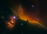The Horsehead and Flame Nebulae Poster och Canvastavla