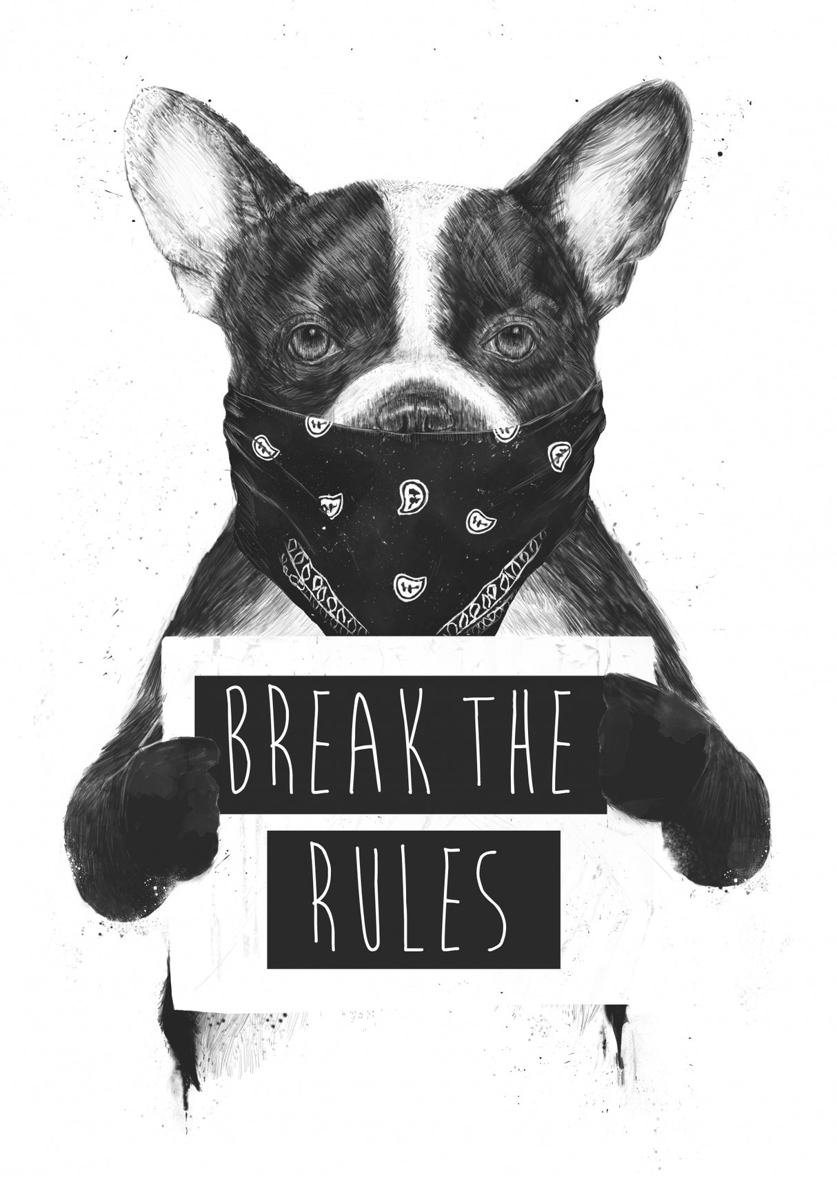 Rebel dog Poster och Canvastavla