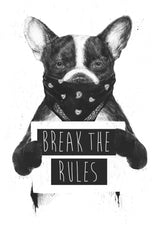 Rebel dog Poster och Canvastavla