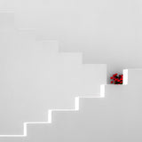 red flower pot Poster och Canvastavla