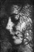 Forest thoughts Poster och Canvastavla