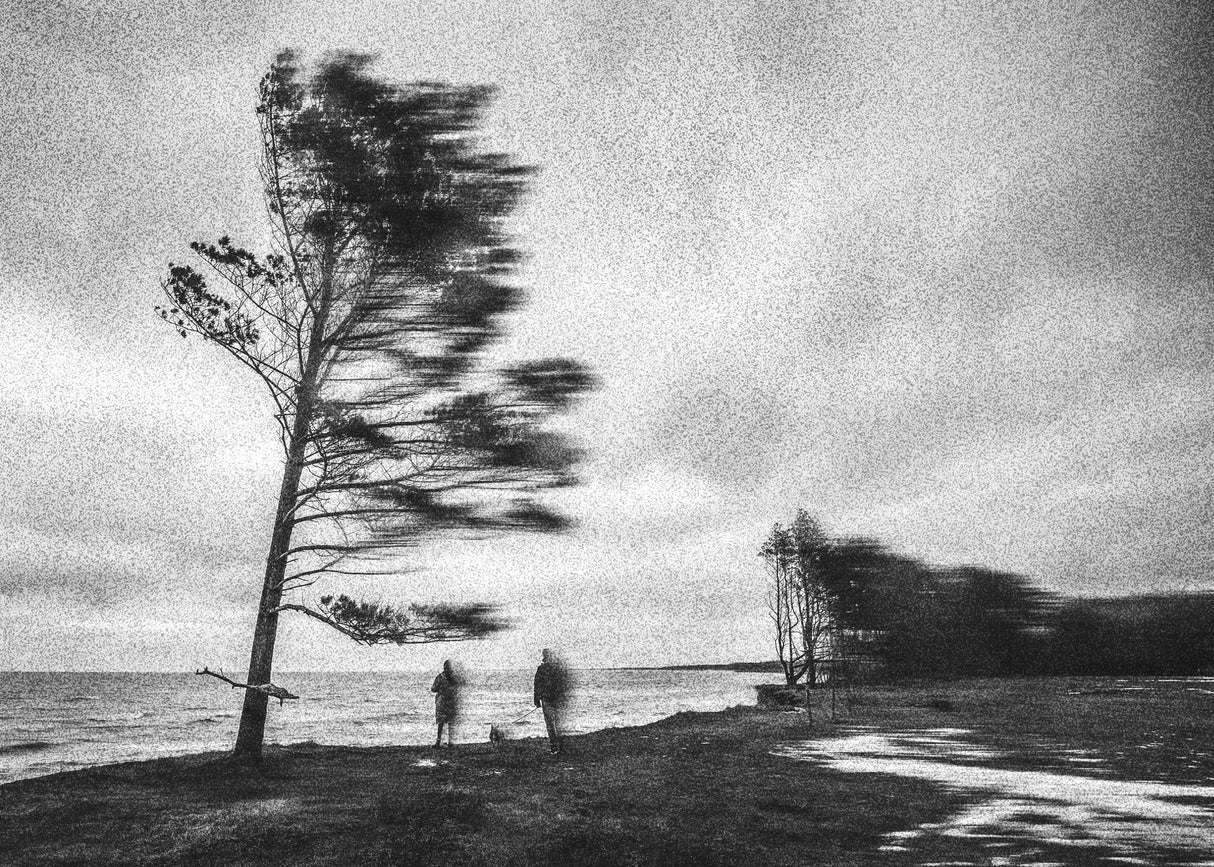two before the storm Poster och Canvastavla