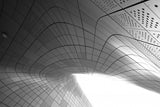perfect curvature Poster och Canvastavla