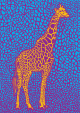 The Majestic Giraffe Poster och Canvastavla