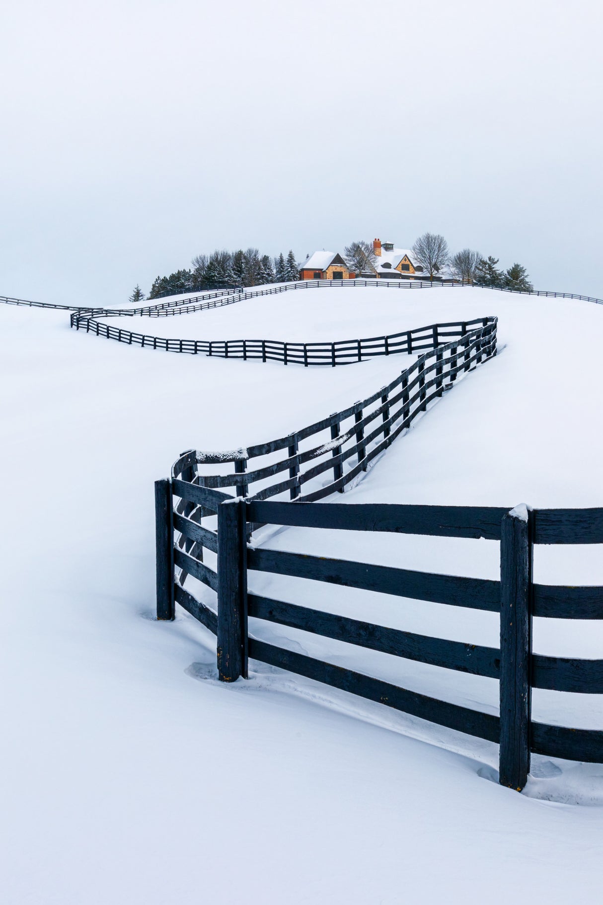 Winter Wonderland Poster och Canvastavla