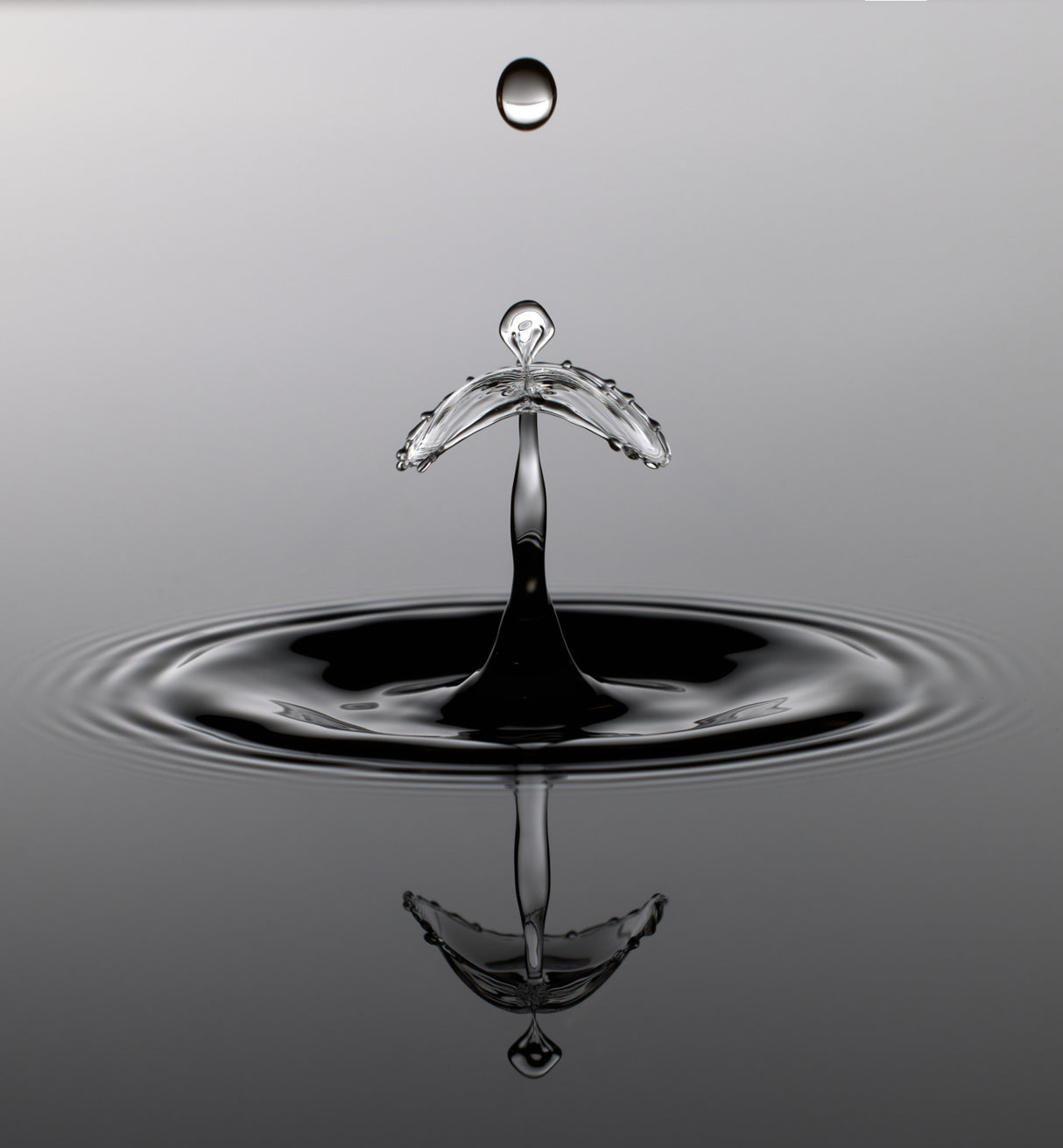 Water Art II Poster och Canvastavla