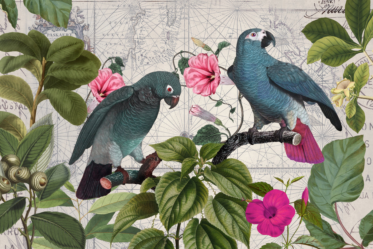 Parrots Nostalgic Journey Kopie Poster och Canvastavla