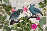 Parrots Nostalgic Journey Kopie Poster och Canvastavla