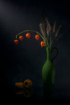 Chinese Lantern and Tail Grass Poster och Canvastavla